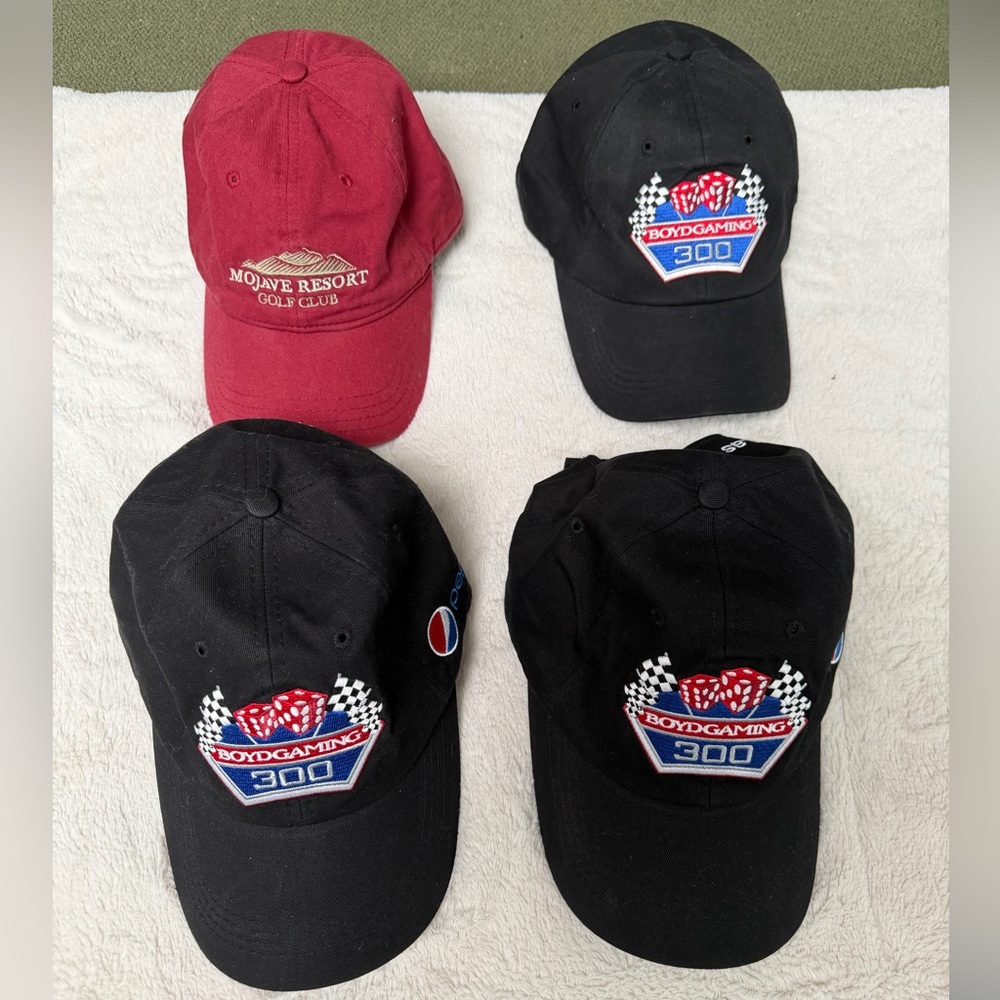 12 cap bundle - image 3